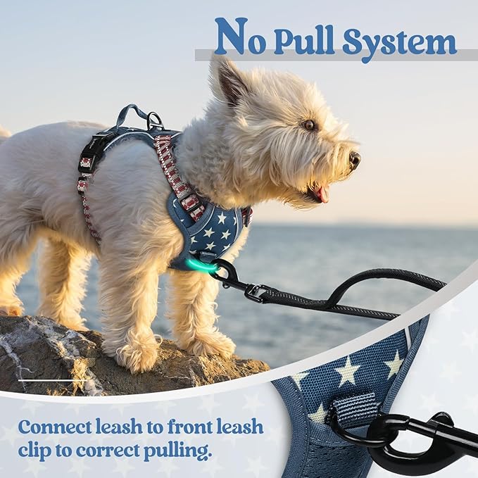 rabbitgoo Dog Harness No Pull - Image 5