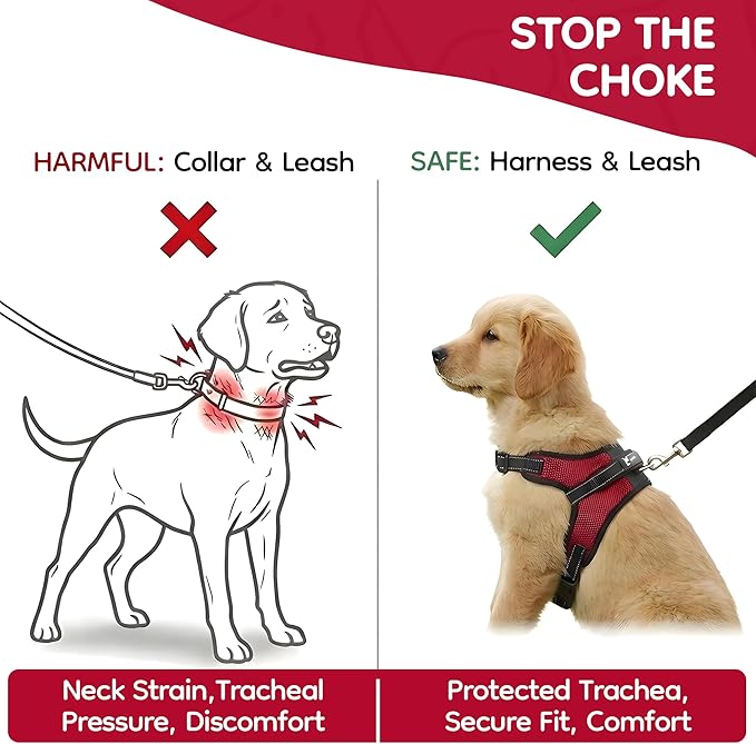 No Pull Reflective Adjustable Dog Harness - Image 5