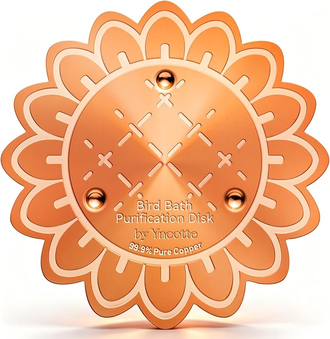Bird Bath Copper Disk by Yncotte