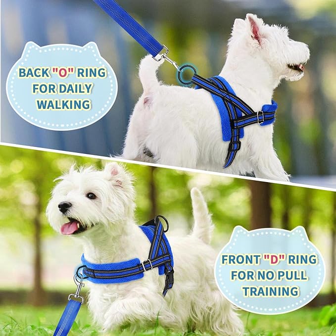 Lukovee No Pull Dog Harness and Leash Set, Soft Padded Small Dog Harness - Image 7