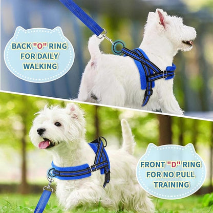 Lukovee No Pull Dog Harness and Leash Set, Soft Padded Small Dog Harness - Image 7