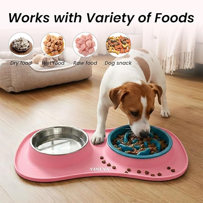 YINEYA 3 in 1 Slow Feeder Dog Bowls & Stainless Steel Food and Water Bowl - Image 6