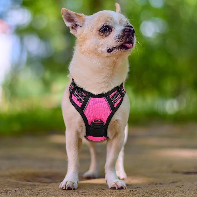 rabbitgoo Dog Harness No Pull - Image 8