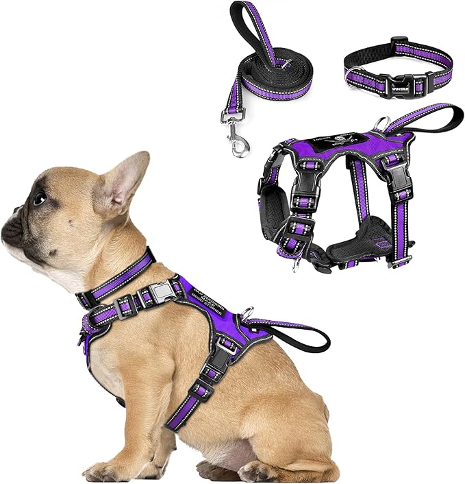 WINSEE Pet Harness Collar and Leash Set, All-in-one Reflective Dog Harness No by WINSEE