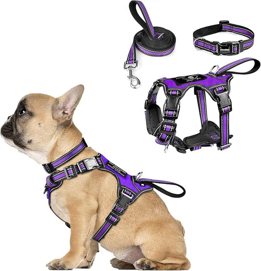 WINSEE Pet Harness Collar and Leash Set, All-in-one Reflective Dog Harness No by WINSEE
