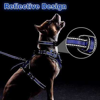 WINSEE All-in-One Reflective Dog Harness, Collar & Leash Set, No Pull - Image 5