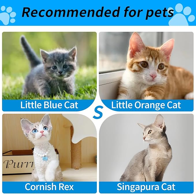 Wakytu Airline Approved Expandable Pet Carrier - Image 5
