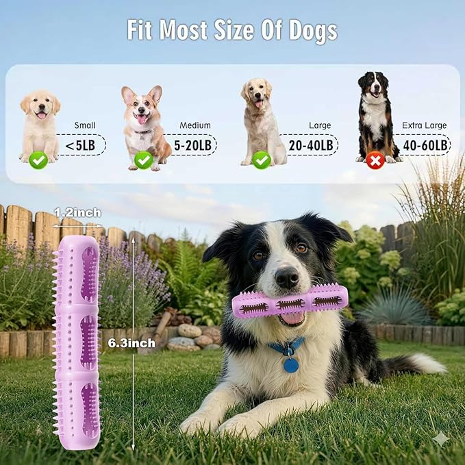 Dog Chew Toys, Dog Toothbrush Toy - Image 6