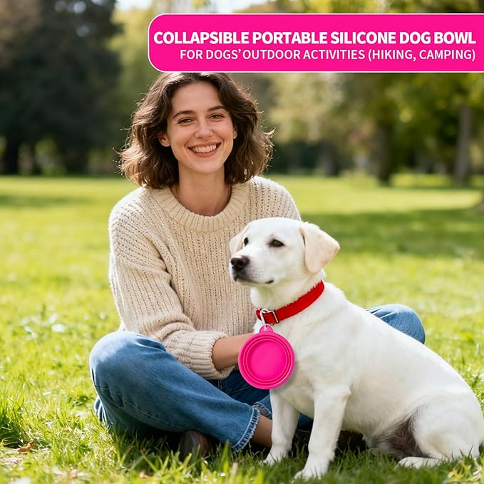 SLSON Collapsible Dog Bowl - Image 2