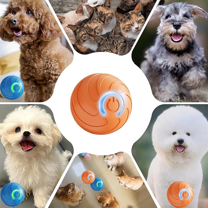 Smart jumping ball for dogs & Cats Duraspin Dog Bouncing Ball Random Path - Image 5