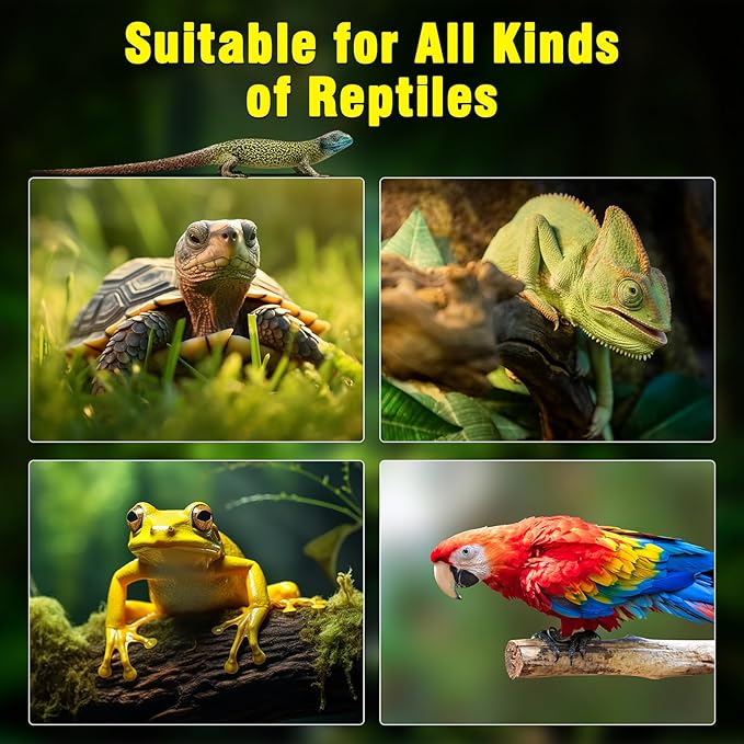 2Pack Reptile Heat Lamp Guard - Image 5