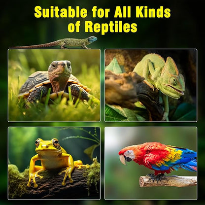 2Pack Reptile Heat Lamp Guard - Image 5