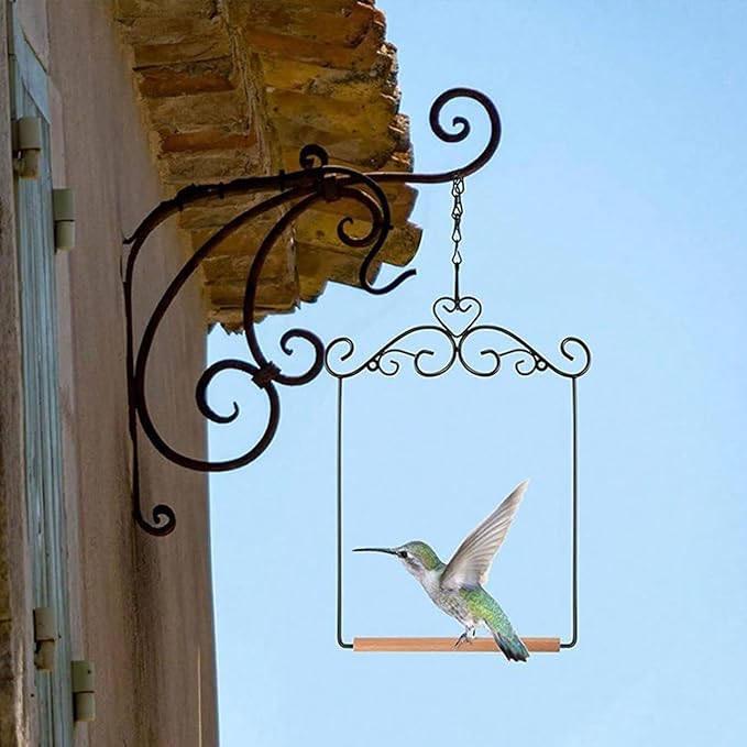 Hummingbird Swings and Perches - Image 3