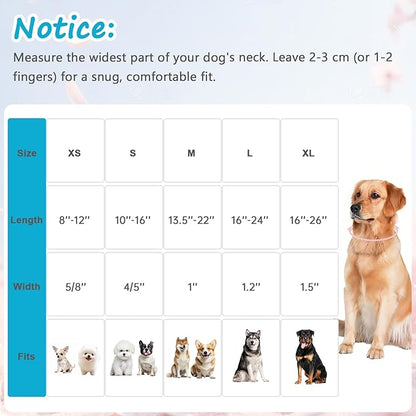 Dog Collar for Large Dogs, Spring &Summer Theme Dog Collars - Image 2