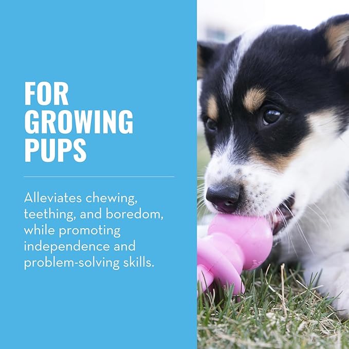 KONG Puppy Binkie - Image 2