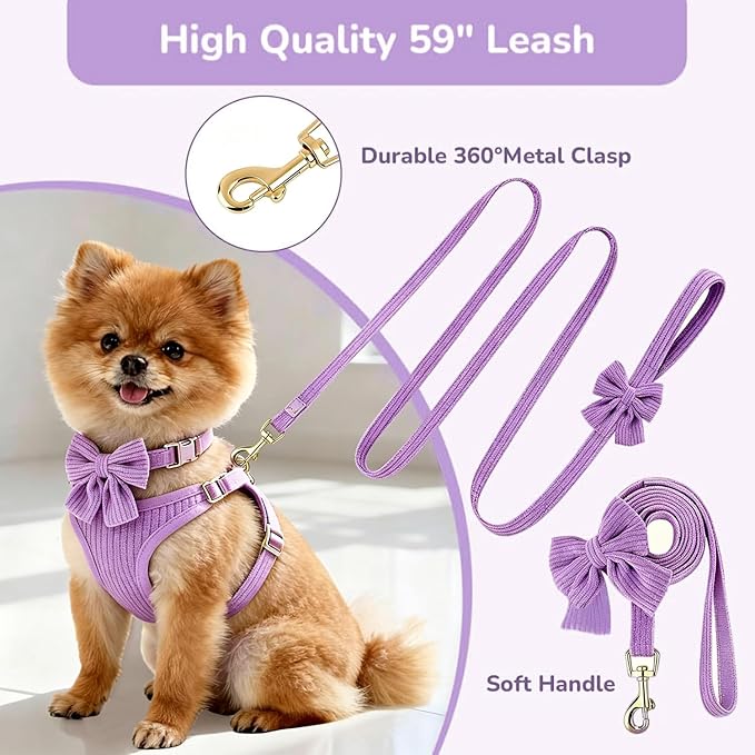 Small Dog Collar Harness and Leash Set - Image 5