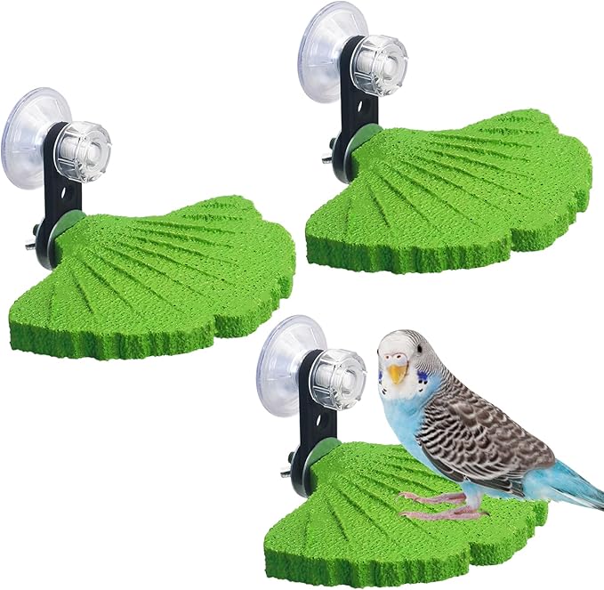 3PCS Bird Beak Grinding Stone by Apatal