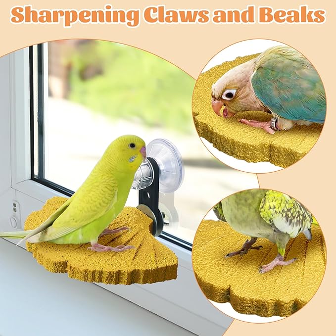 3PCS Bird Beak Grinding Stone - Image 5