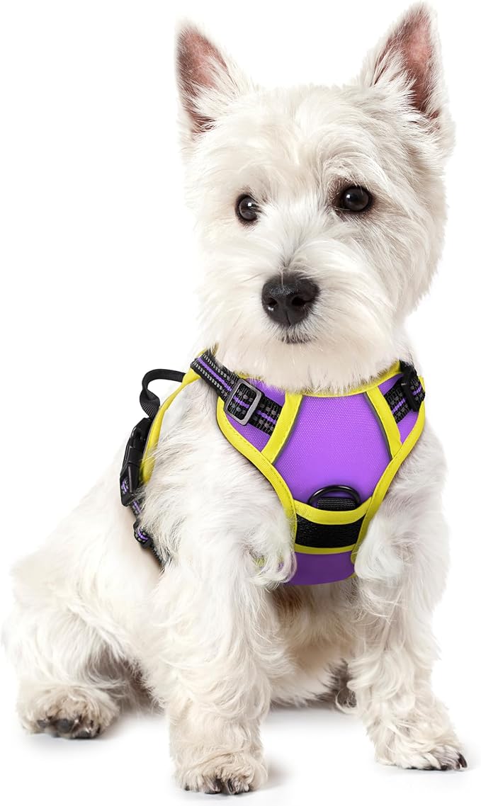 rabbitgoo Dog Harness No Pull by rabbitgoo
