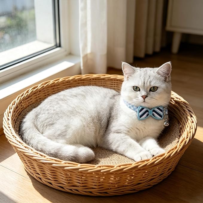 PUPTECK Cat Collar Breakaway - Image 6