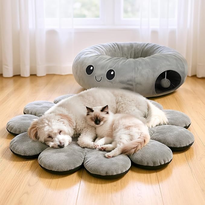 Cat Tunnel Bed for Indoor Cats, Peekaboo Cat Cave Bed - Image 9