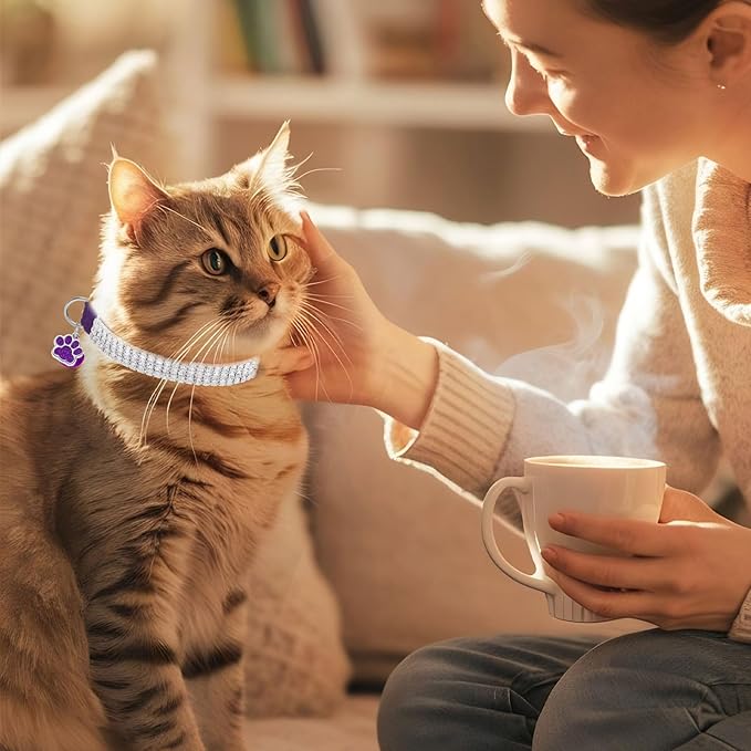 EXPAWLORER Soft Velvet Safe Cat Collars - Image 8