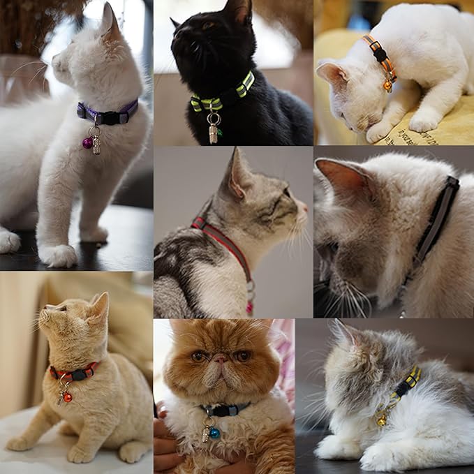 Extodry 14 Pack Set Kitten Collars Breakaway - Image 10