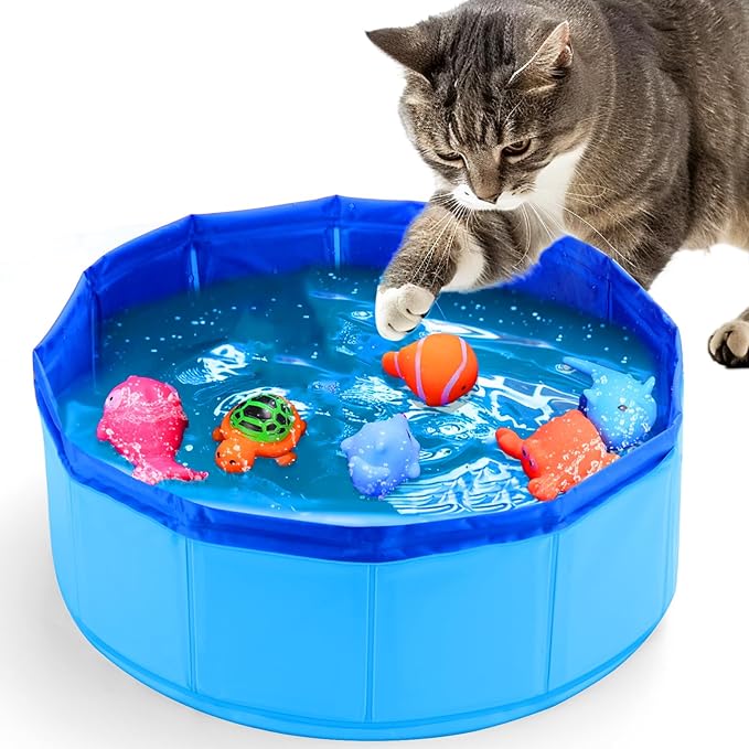 BABORUI Cat Pool Toy with Fish-Water Cat Toys, Portable Cat Pool Toy, Cat Water by BABORUI
