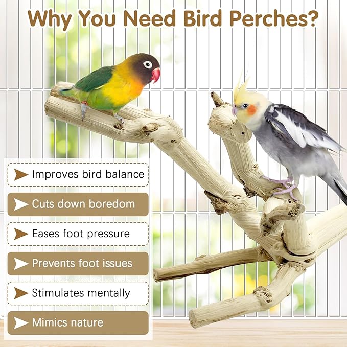 kathson Bird Perch Stand 10"-12" Nature Wood Stand Toy Parrot Cage Branch Paw - Image 4