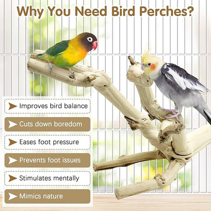 kathson Bird Perch Stand 10"-12" Nature Wood Stand Toy Parrot Cage Branch Paw - Image 4