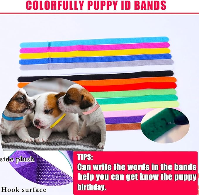 Puppy Kitten Whelping Supplies, Whelping kit - Image 3