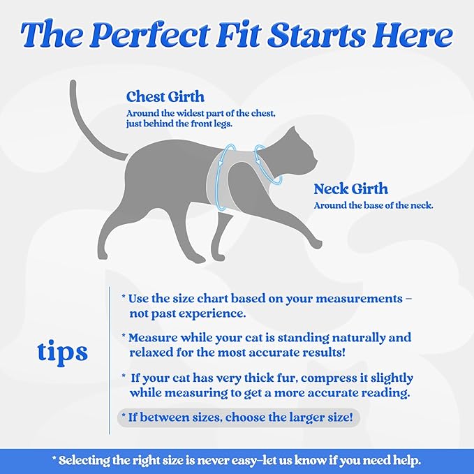 rabbitgoo Cat Harness and Leash, Step-in Escape Proof Kitten Harness Set - Image 2