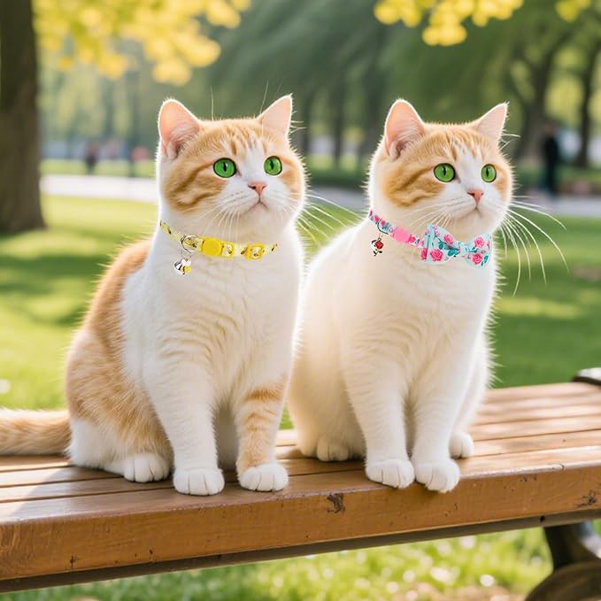 PUPTECK Cat Collar Breakaway - Image 4