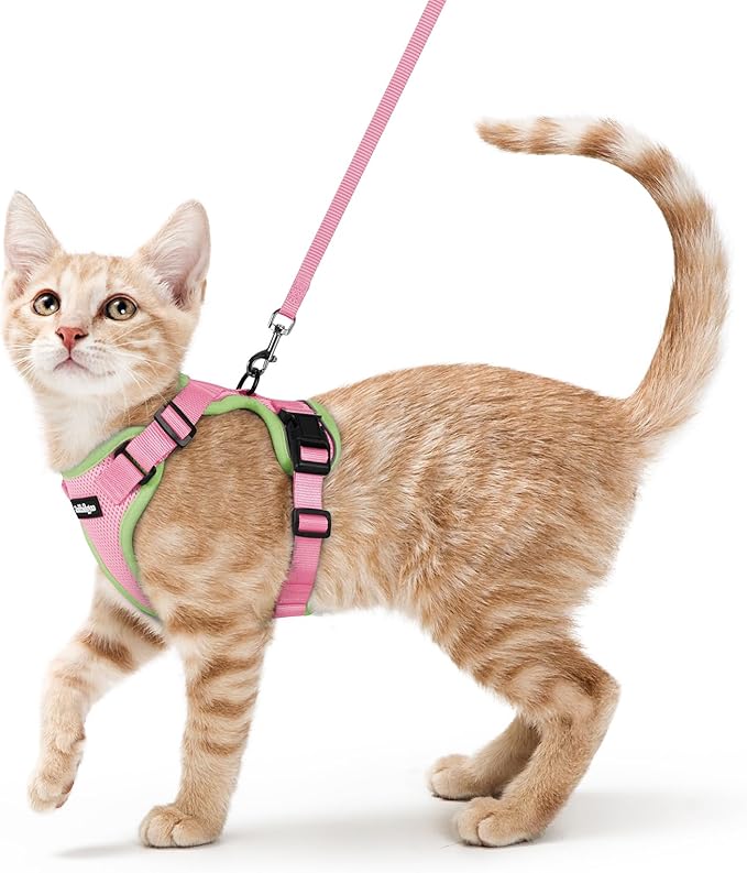 rabbitgoo Cat Harness and Leash Set, Escape Proof Vest Harness by rabbitgoo