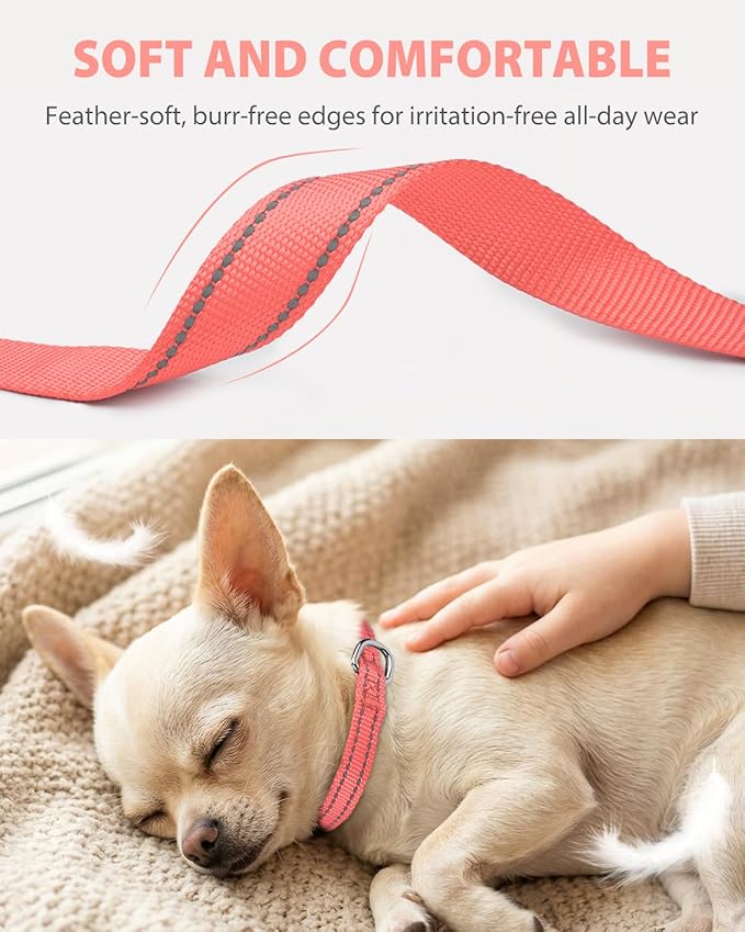 Joytale Puppy Collar, Feather-Light Double-Sided Reflective Nylon Collar - Image 3