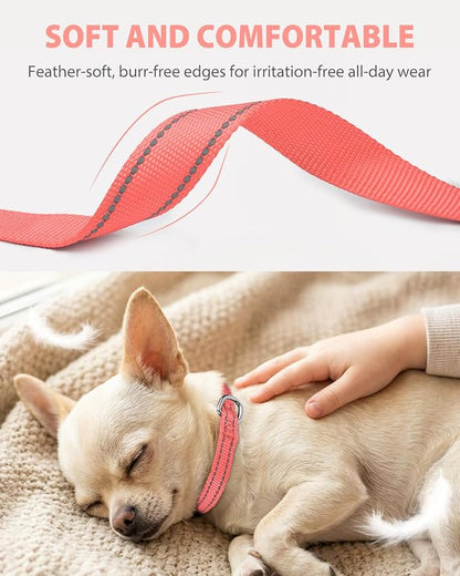 Joytale Puppy Collar, Feather-Light Double-Sided Reflective Nylon Collar - Image 3