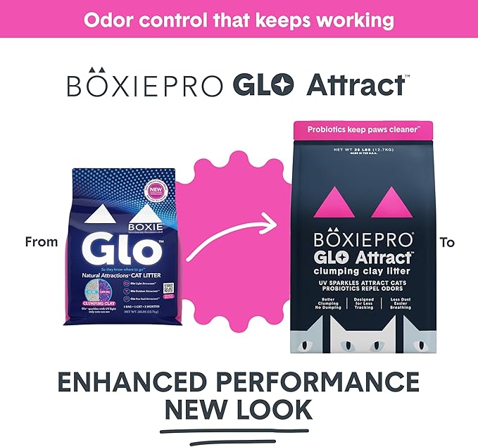 Boxie Glo Clumping Clay 30 Day Odor Control Cat Litter, 99.9% Dust-Free - Image 2