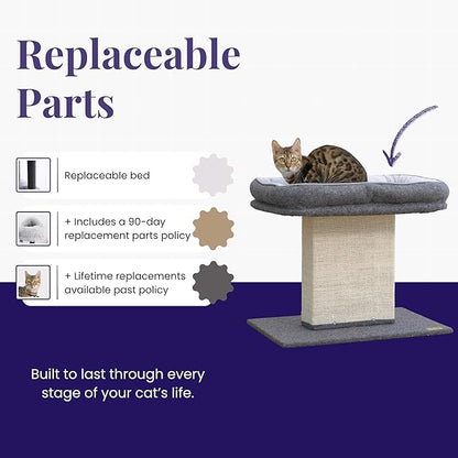 Catry Mellow 2-Level 19" Cat Tree - Image 3