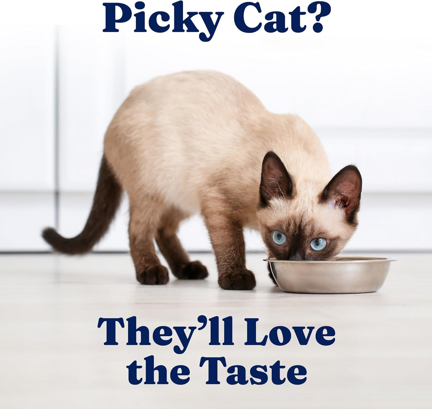 Solid Gold Wet Cat Food Shreds in Gravy - Healthy Canned Cat Food Made w/Real Chicken & Tuna Shreds, Vitamins & Minerals - Grain Free & Gluten Free Canned Meals for Cats & Kittens - 24ct/3oz Can