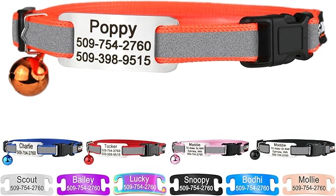 GoTags Personalized Reflective Cat Collars by GoTags