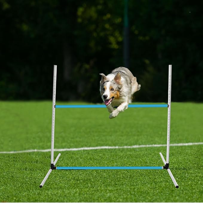 Halloscume 6 Pcs Dog Agility Training Equipments Dog Agility Jumps Hurdles - Image 5