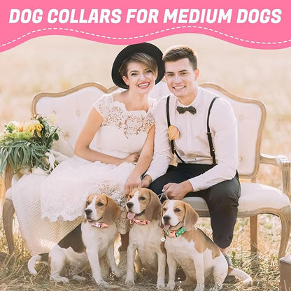 3 Pack Floral Dog Collars for Medium Dogs Pink Dog Collar - Image 7