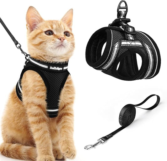 rabbitgoo Cat Harness and Leash, Step-in Escape Proof Kitten Harness Set by rabbitgoo