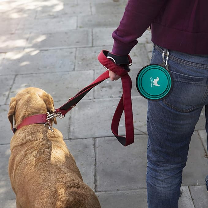 Collapsible Dog Bowls for Travel, BPA Free - Image 7