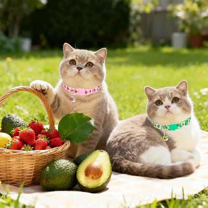 PUPTECK Cat Collar Breakaway - Image 7