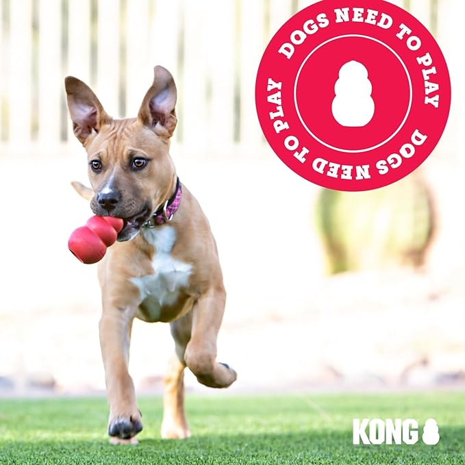 KONG Puppy Goodie Bone with Rope - Image 7