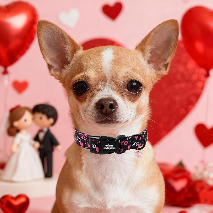 Unique Style Paws Valentine Dog Collar Plastic Buckle - Image 5