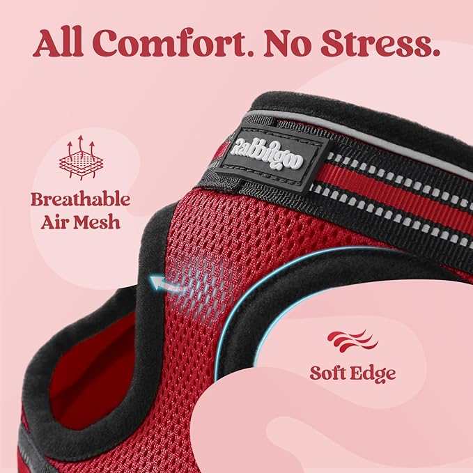 rabbitgoo Cat Harness and Leash Set - Image 7