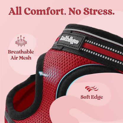 rabbitgoo Cat Harness and Leash Set - Image 7