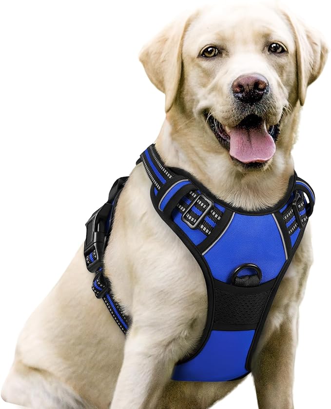 rabbitgoo Dog Harness No Pull by rabbitgoo